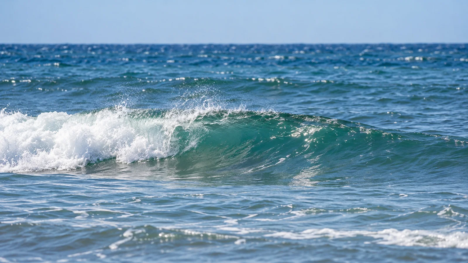 Learn to see the shape. The Cove.