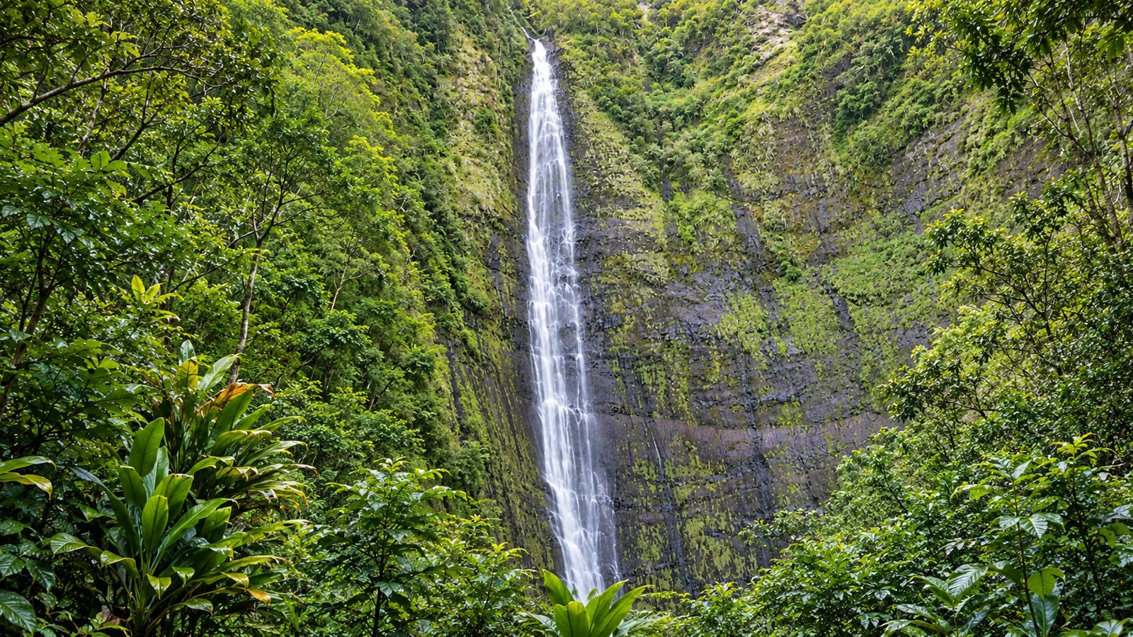 A waterfall with a whole journey behind it. Pīpīwai.