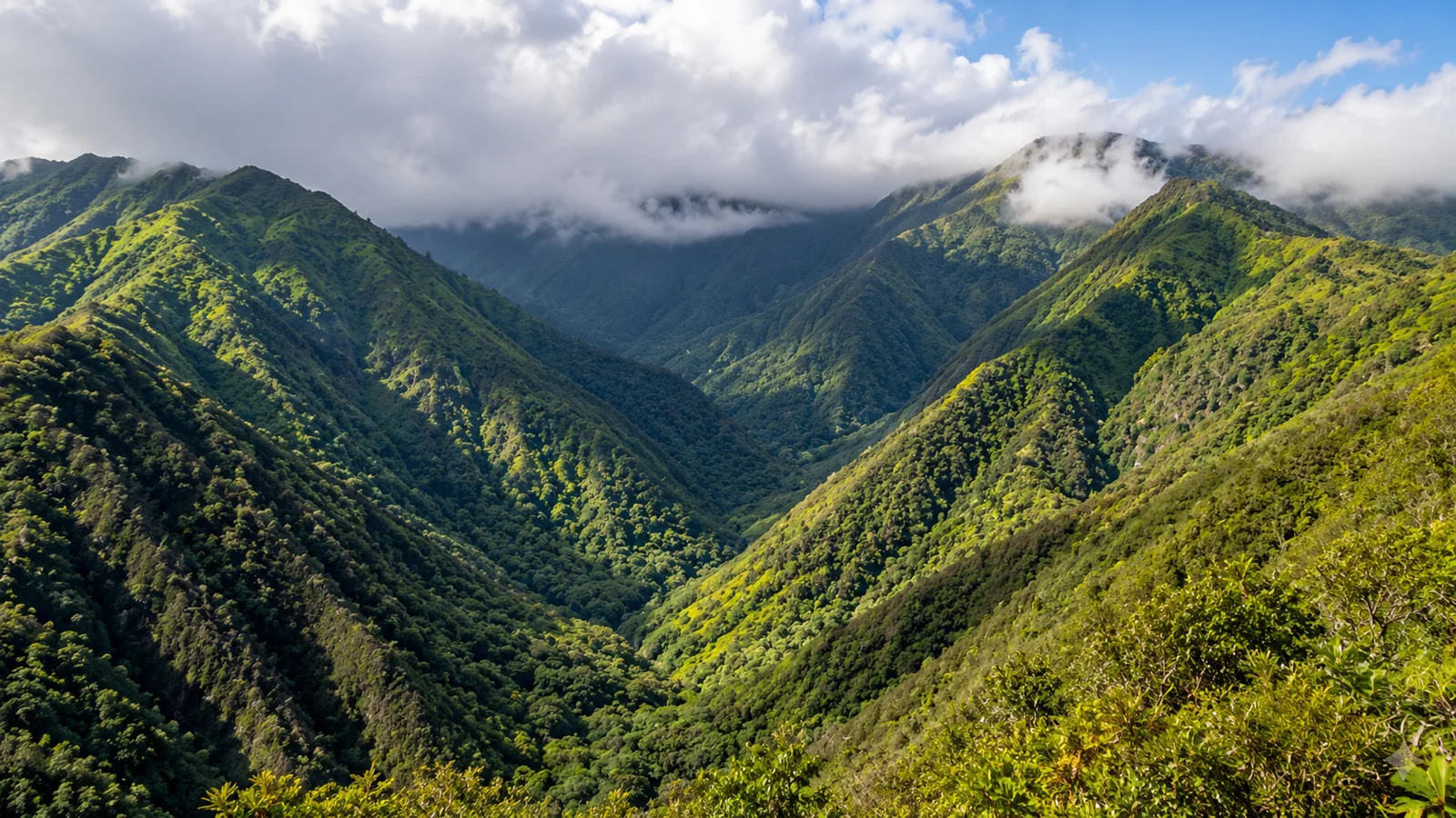 Follow the folds of the valley. Waiheʻe Ridge.