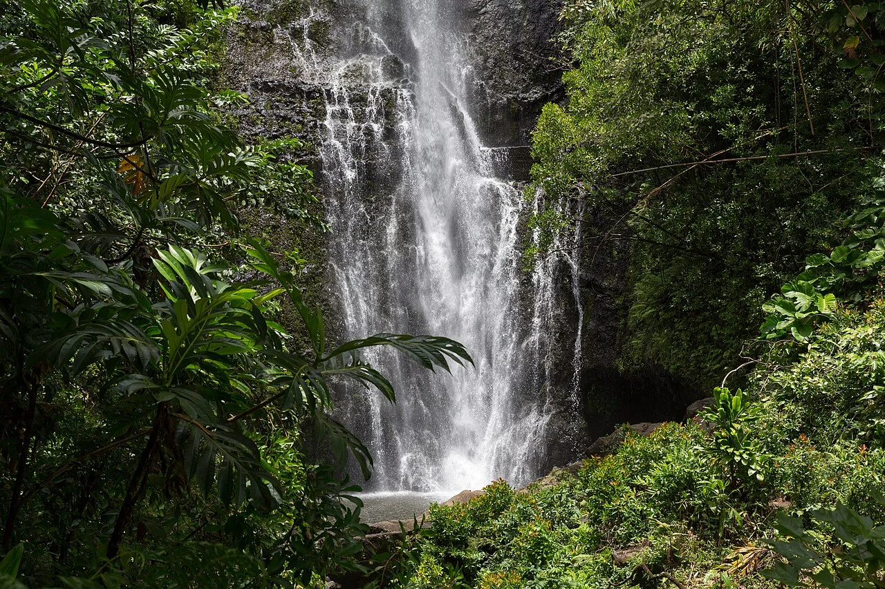 Water falling against the green landscape at Wailua Falls