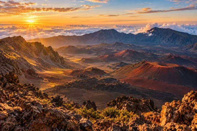 The green landscapes of Maui’s parks